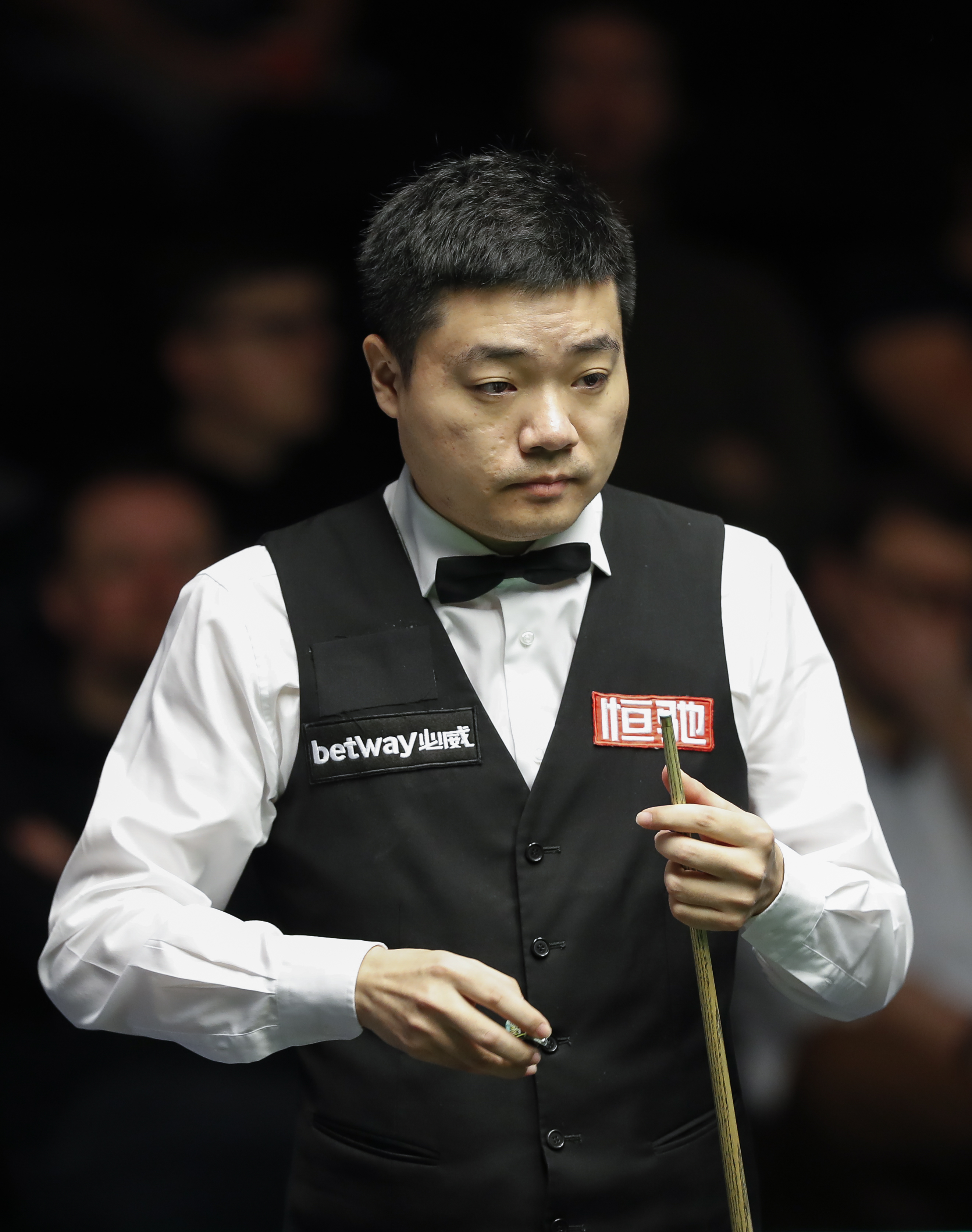 供了生动例 供了生动例